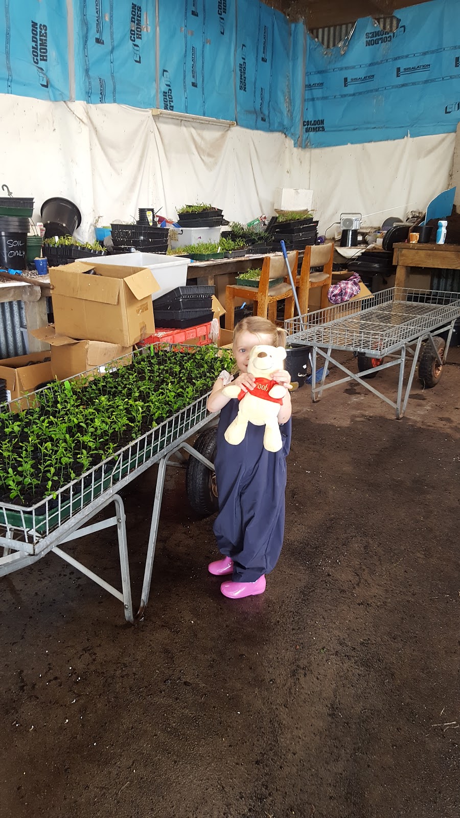 Townsends Plant Farm Wonthaggi | 315 W Area Rd, Wonthaggi VIC 3995, Australia | Phone: (03) 5672 1982