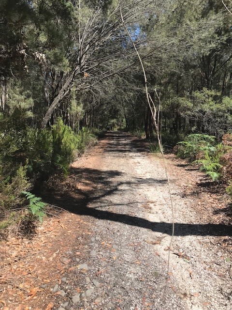 Gold Mine Ridge | 1 Volunteer Hill Rd, Lefroy TAS 7252, Australia | Phone: 0418 535 079