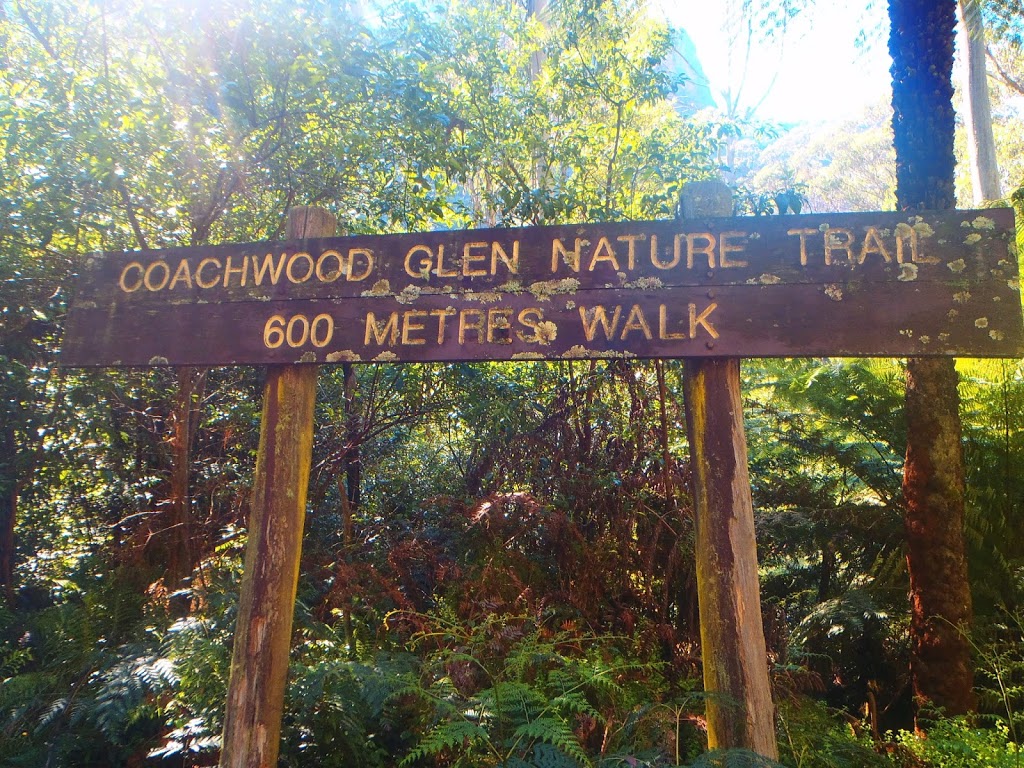 Coachwood Glen Nature Trail | park | Coachwood Glen Nature Trail, Blackheath NSW 2785, Australia