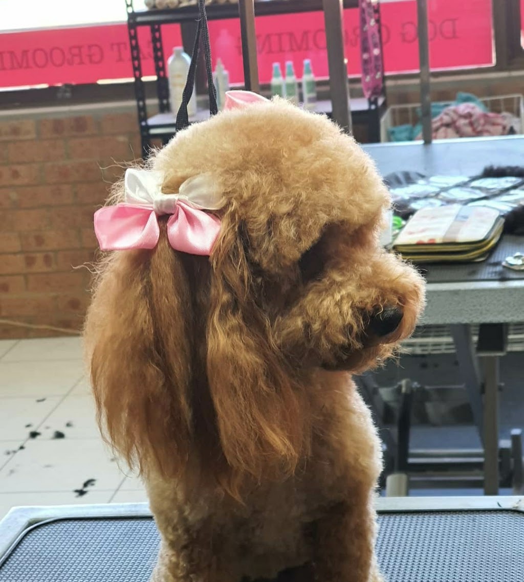Fluff n Puff dog and cat grooming |  | 24A Wynyard Ave, Rossmore NSW 2557, Australia | 0410330551 OR +61 410 330 551