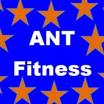 ANT Fitness | 9 Wolgan St, Portland NSW 2847, Australia | Phone: 0427 268 348