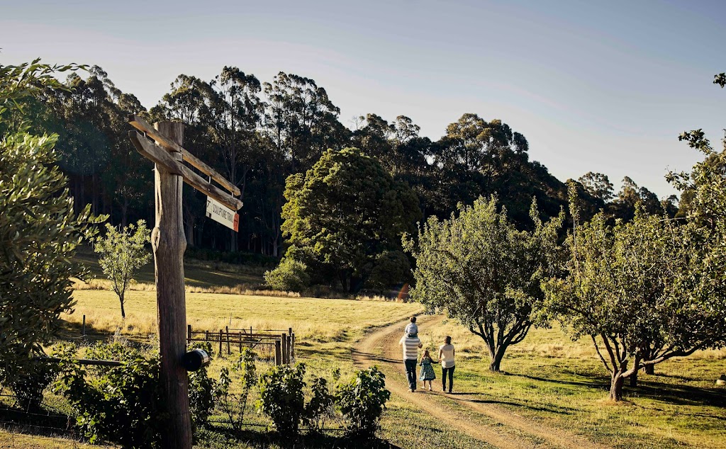 Art Farm Birchs Bay | 3866 Channel Highway Woodbridge, Birchs Bay TAS 7162, Australia | Phone: 0428 062 255