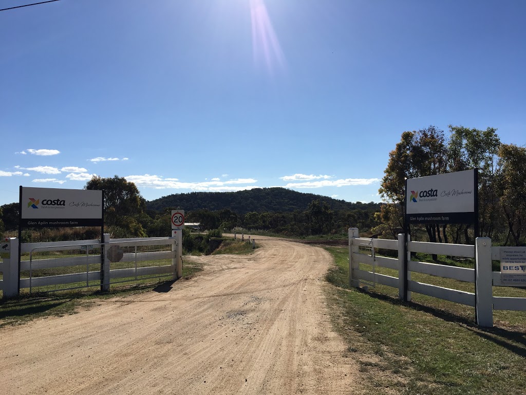 COSTA Mushroom Exchange |  | 27230 New England Hwy, Glen Aplin QLD 4381, Australia | 0746800500 OR +61 7 4680 0500