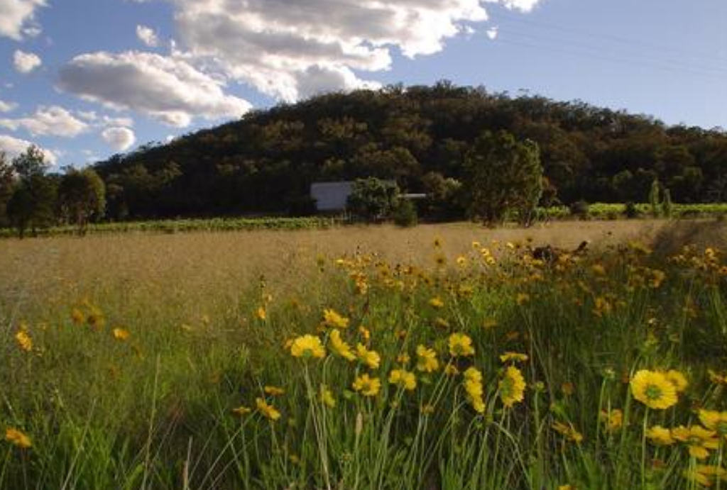 Robinson family vineyard | food | Q, 151 Curtin Rd, Ballandean QLD 4382, Australia | 0746841216 OR +61 7 4684 1216