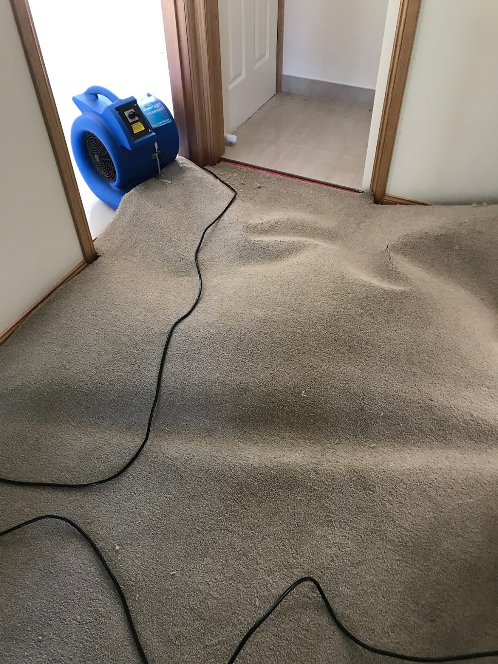 Tait Carpet Cleaning Brookfield | laundry | 146 Clarkes Rd, Brookfield VIC 3338, Australia | 0386581366 OR +61 3 8658 1366