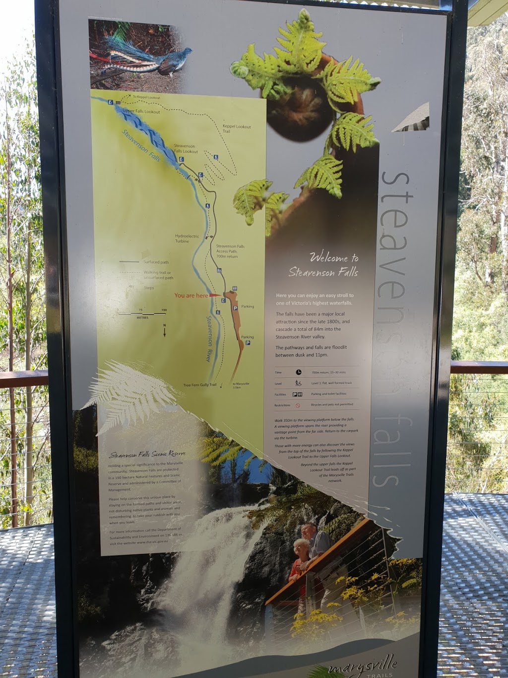 Steavenson Falls Reserve | Marysville VIC 3779, Australia | Phone: 13 19 63