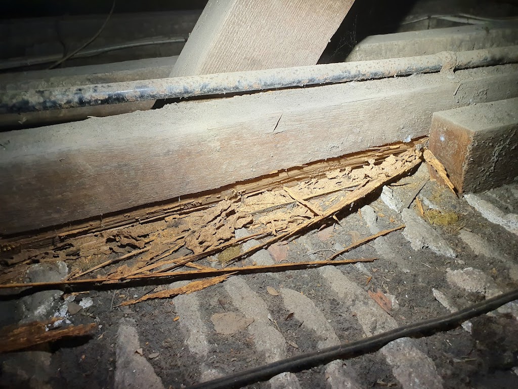 NSW Master Building Inspectors | Level 23/520 Oxford St, Bondi Junction NSW 2022, Australia | Phone: (02) 9369 2787