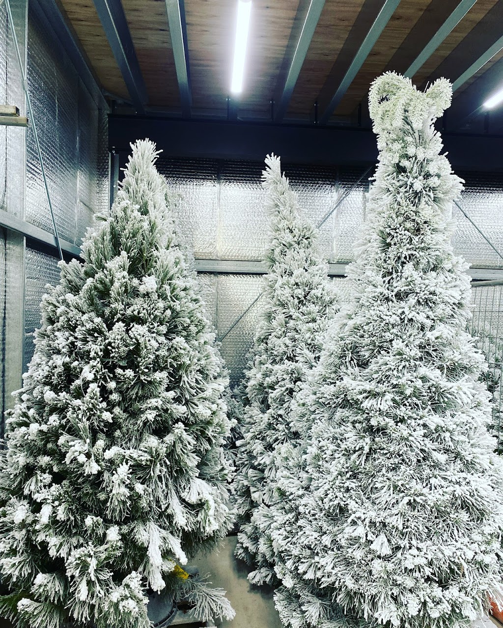 Jack Frost Christmas Tree Deliveries | 8 Berry St, Cronulla NSW 2230, Australia | Phone: 0480 221 440
