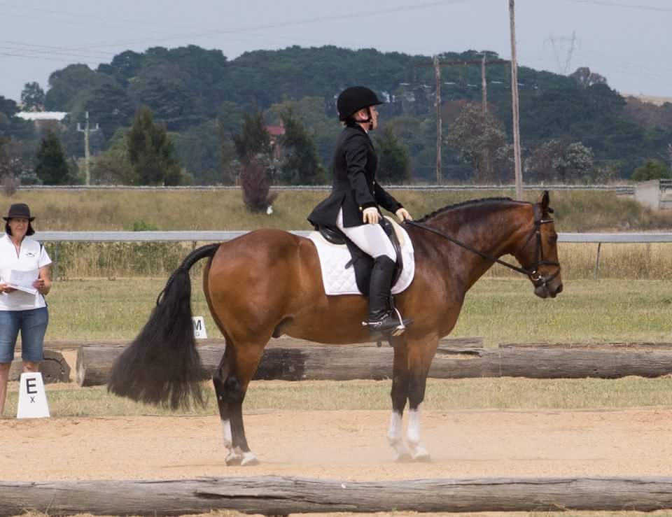 Goulburn Dressage Club Inc | travel agency | Braidwood Rd, Goulburn NSW 2580, Australia | 0459622505 OR +61 459 622 505