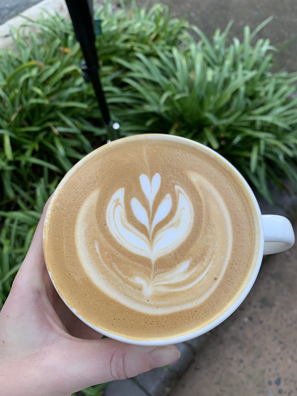 The General Coramba | 31 Gale St, Coramba NSW 2450, Australia | Phone: (02) 6658 1328