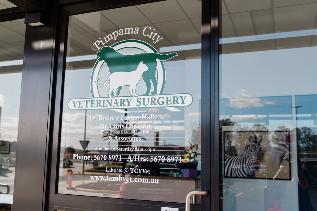 Pimpama City Veterinary Surgery | veterinary care | Tenancy 1, Pimpama, City Shopping Centre, 102 Pimpama Jacobs Well Rd, Pimpama QLD 4209, Australia | 0756708971 OR +61 7 5670 8971