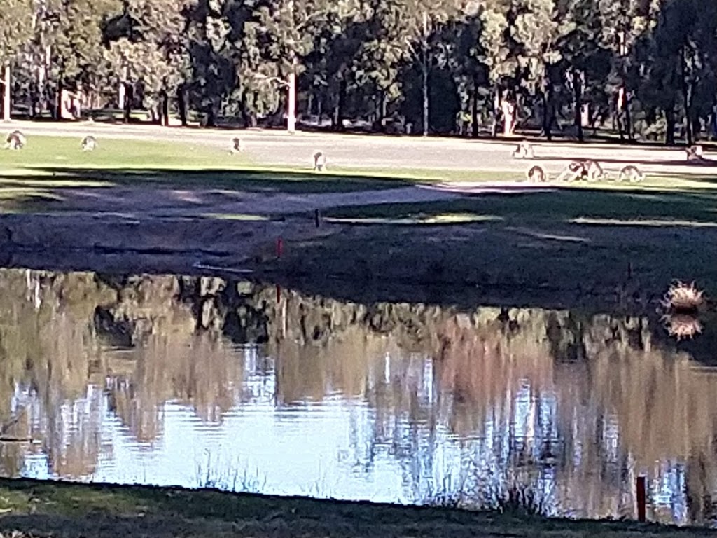 Bendigo Golf Club | Golf Course Rd, Epsom VIC 3551, Australia | Phone: (03) 5448 4878