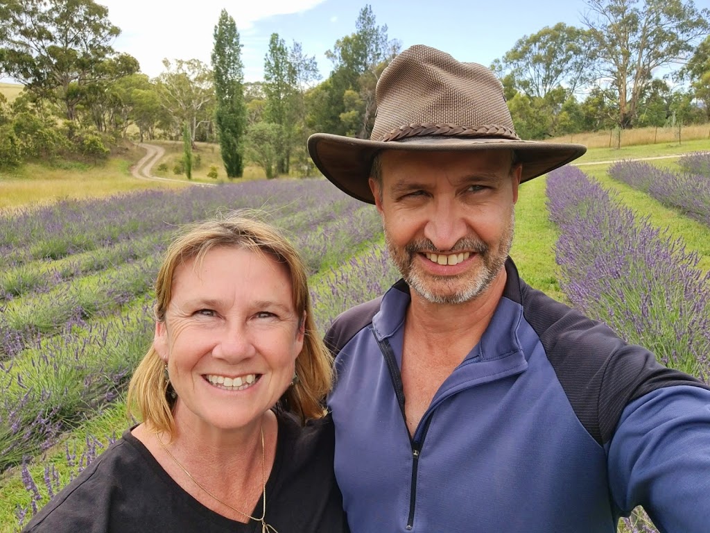 Blue Mountains Lavender Farm | 371 Coxs River Rd, Little Hartley NSW 2790, Australia | Phone: 0409 717 899