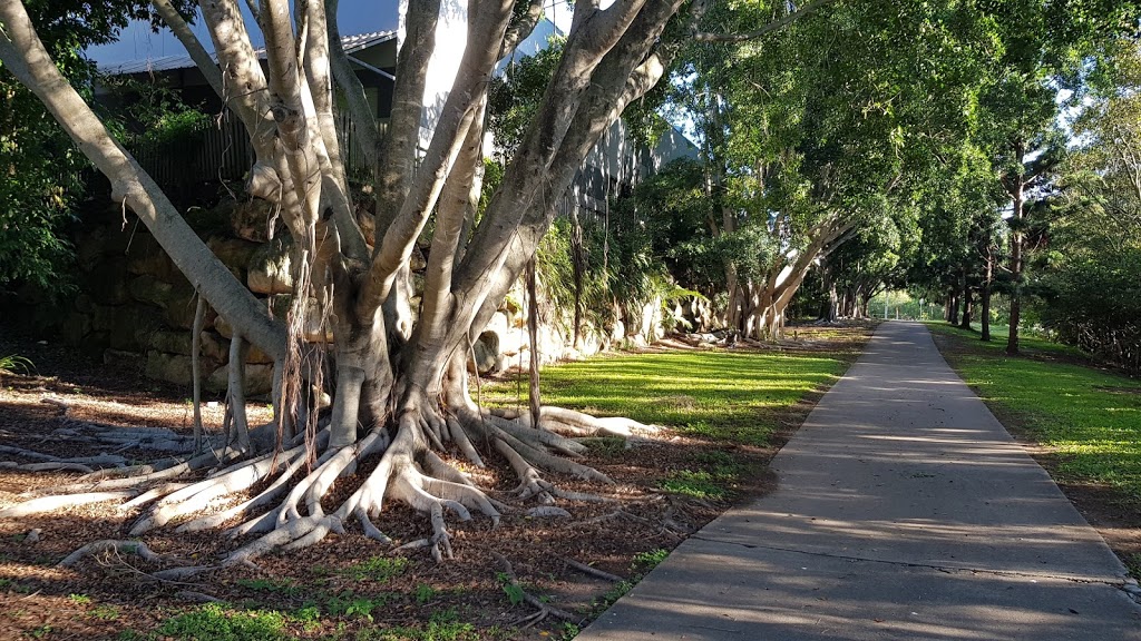 Kelvin Grove parkrun | gym | Bishop St, Kelvin Grove QLD 4059, Australia